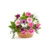 Begonia - Image 2