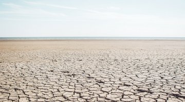 project-feature-image-04