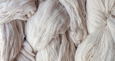 cotton cotton