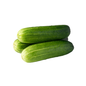 Cucumber