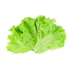Lettuce