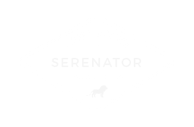 Serenator - Safari Tours Website Template by Jupiter X WP Theme