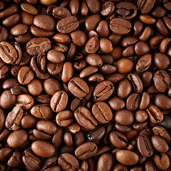 category-showcase-03