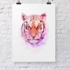 Perfectly Pastel - Image 9