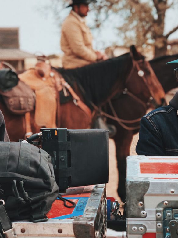 horse-production horse-production