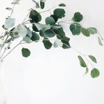 Blog Feature Green Leafs - Jupiter X Blog Styles