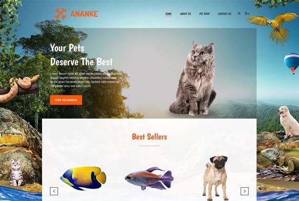 Ananke-template