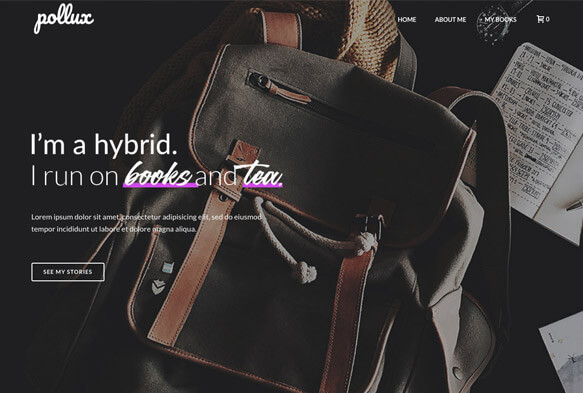 Pollux-template